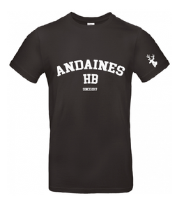 T-shirt polyester ANDAINES HB