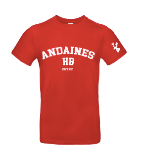 T-shirt coton ANDAINES HB