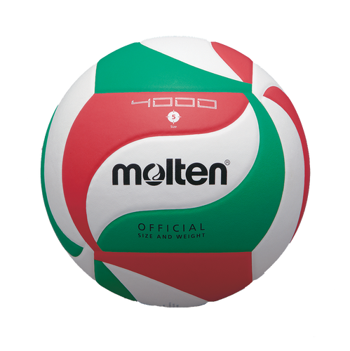 ballon volleyball V5M4000