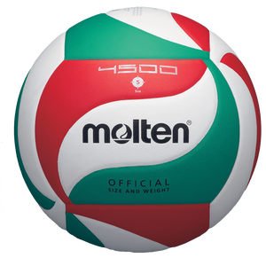 ballon volleyball V5M4500