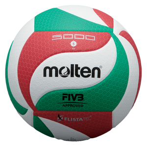 ballon volleyball V5M5000