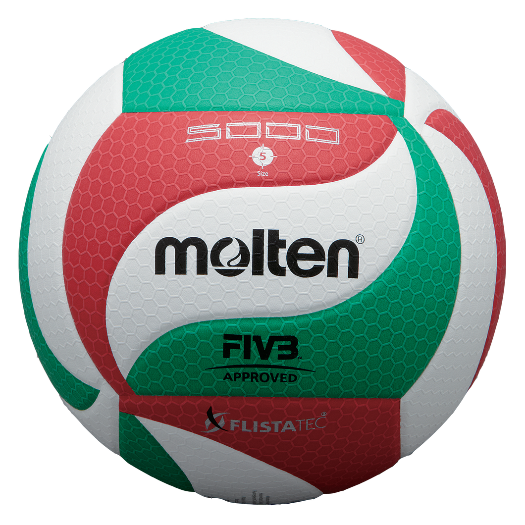 ballon volleyball V5M5000