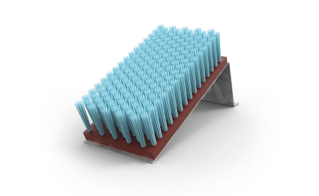 brosse à chaussures