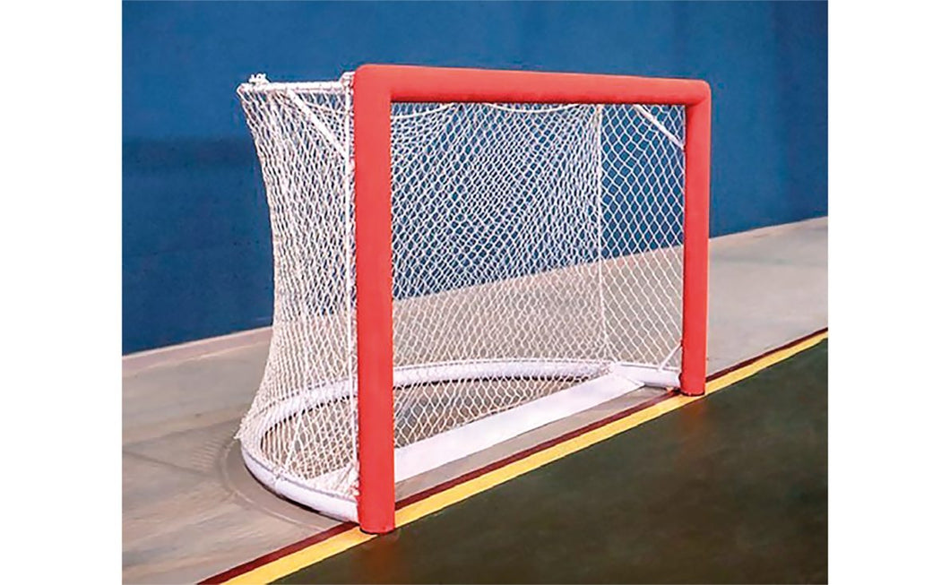 but de rink hockey